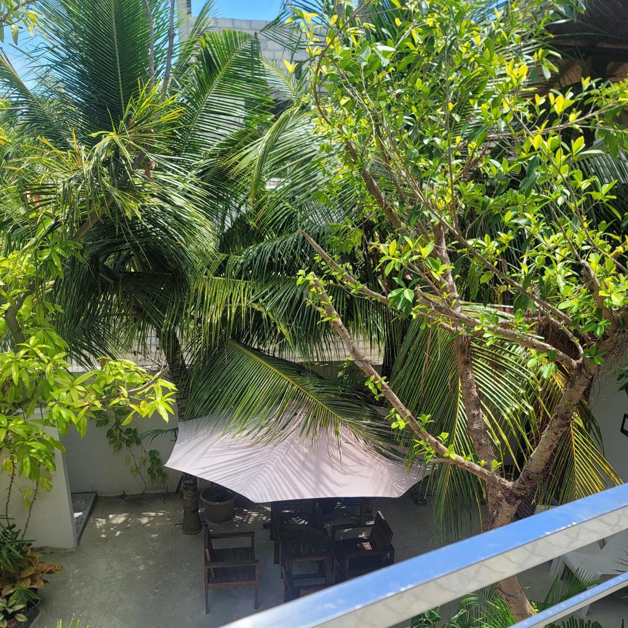 Palm Residence Rasdhoo Room photo